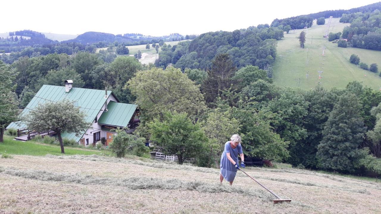 U Mushera Vrchlabí Exteriör bild